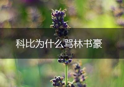 科比为什么骂林书豪