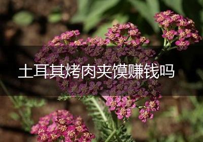 土耳其烤肉夹馍赚钱吗