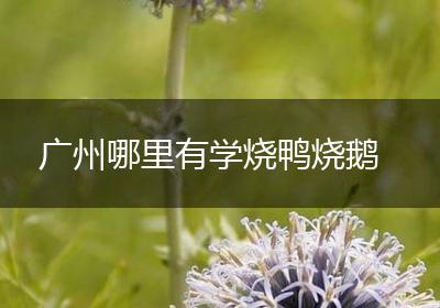 广州哪里有学烧鸭烧鹅