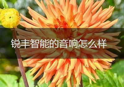 锐丰智能的音响怎么样