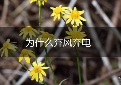 为什么弃风弃电