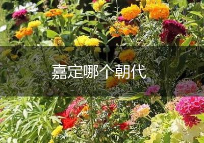 嘉定哪个朝代