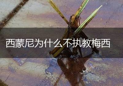 西蒙尼为什么不执教梅西