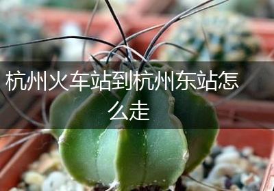 杭州火车站到杭州东站怎么走