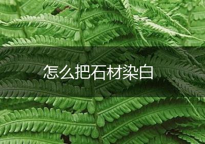 怎么把石材染白