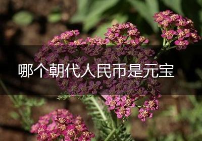 哪个朝代人民币是元宝