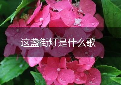 这盏街灯是什么歌