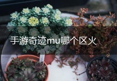 手游奇迹mu哪个区火