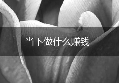 当下做什么赚钱