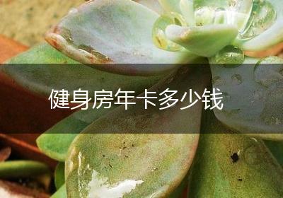 健身房年卡多少钱