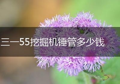 三一55挖掘机锤管多少钱