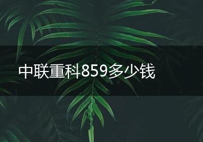 中联重科859多少钱