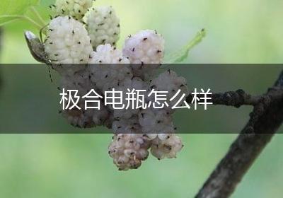 极合电瓶怎么样