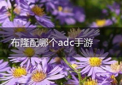 布隆配哪个adc手游
