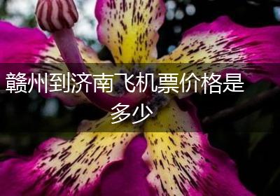 赣州到济南飞机票价格是多少