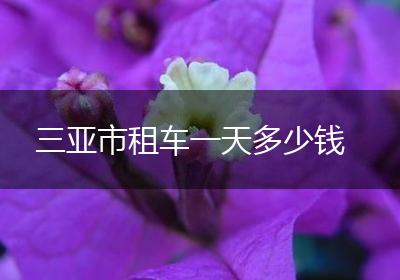 三亚市租车一天多少钱