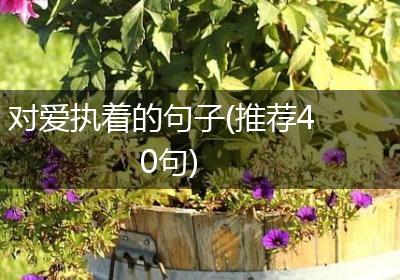 对爱执着的句子(推荐40句)