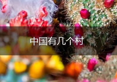 中国有几个村
