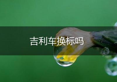 吉利车换标吗