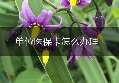 单位医保卡怎么办理