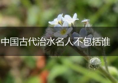 中国古代治水名人不包括谁
