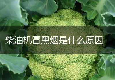柴油机冒黑烟是什么原因
