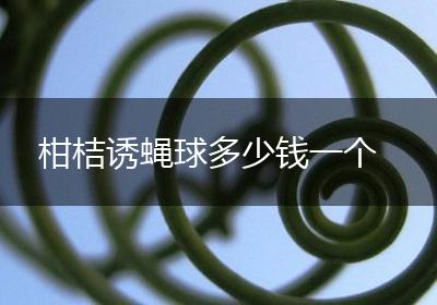 柑桔诱蝇球多少钱一个