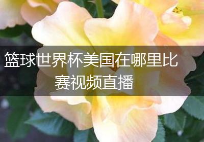 篮球世界杯美国在哪里比赛视频直播