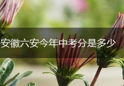 安徽六安今年中考分是多少