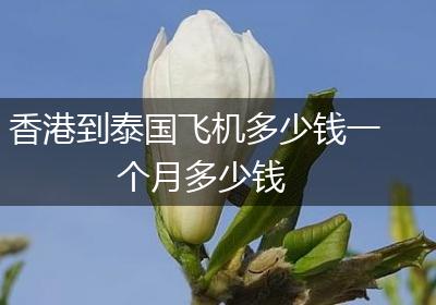 香港到泰国飞机多少钱一个月多少钱