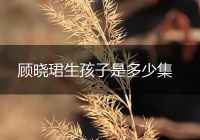 顾晓珺生孩子是多少集
