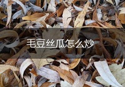 毛豆丝瓜怎么炒