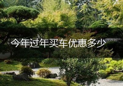 今年过年买车优惠多少