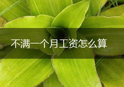 不满一个月工资怎么算