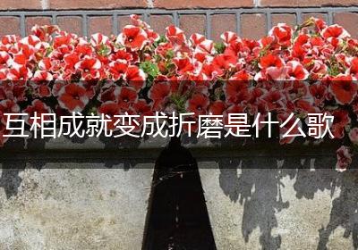 互相成就变成折磨是什么歌