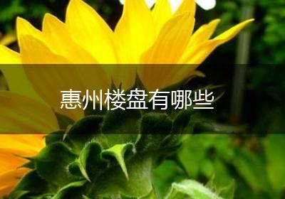 惠州楼盘有哪些