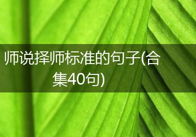 师说择师标准的句子(合集40句)