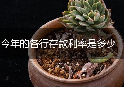 今年的各行存款利率是多少