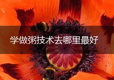学做粥技术去哪里最好