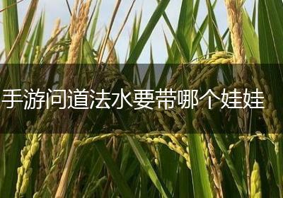 手游问道法水要带哪个娃娃