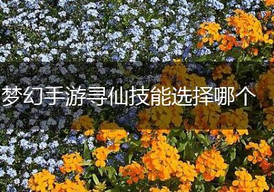 梦幻手游寻仙技能选择哪个
