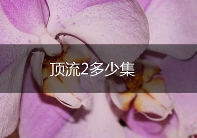 顶流2多少集