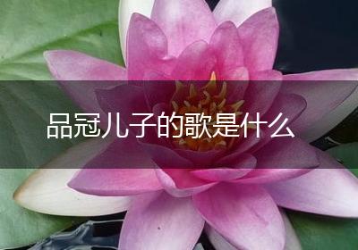 品冠儿子的歌是什么