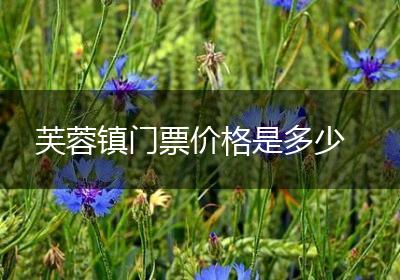 芙蓉镇门票价格是多少