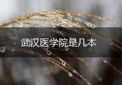 武汉医学院是几本