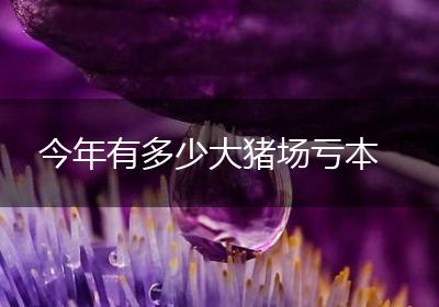 今年有多少大猪场亏本