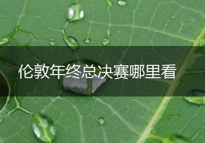伦敦年终总决赛哪里看