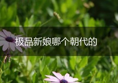 极品新娘哪个朝代的