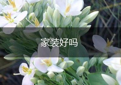 家装好吗