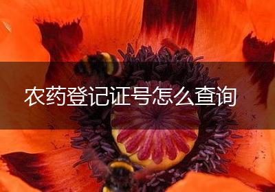 农药登记证号怎么查询